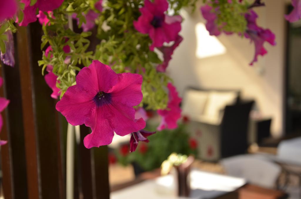Hotel Topcider เบลเกรด ภายนอก รูปภาพ